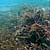 Wreckage of Urca de Lima