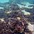 Wreckage of Urca de Lima